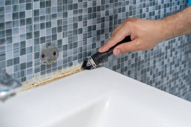 Trusted Arrowhead Beach, NC Mold Remediation Experts